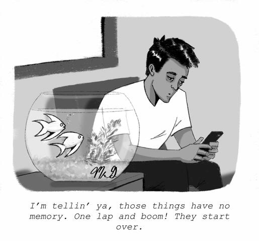 Goldfish Memory