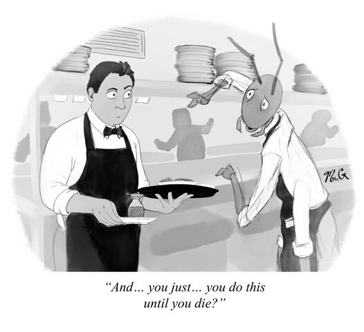 Ant Waiter